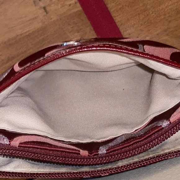 Coach Signature Metallic Stripe Crossbody Bag - Picture 11 of 15